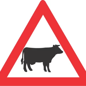 Domestic Animals (cattle) road sign (W310)